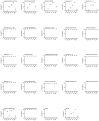 Figure 2—figure supplement 2.