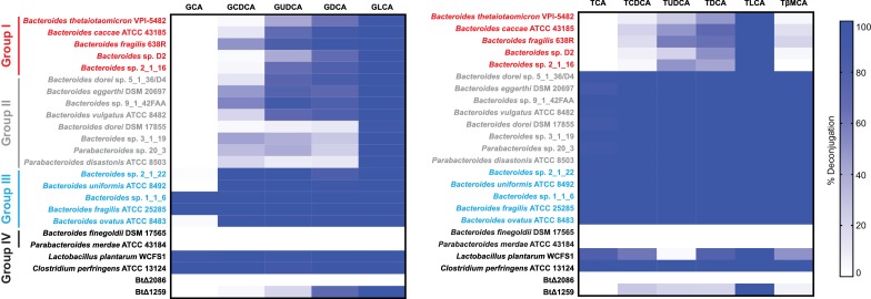 Figure 2—figure supplement 3.