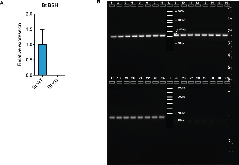 Figure 4—figure supplement 1.