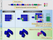 Graphical Abstract