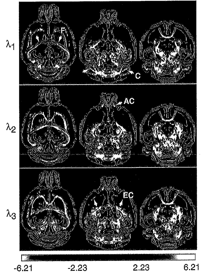 Fig. 5