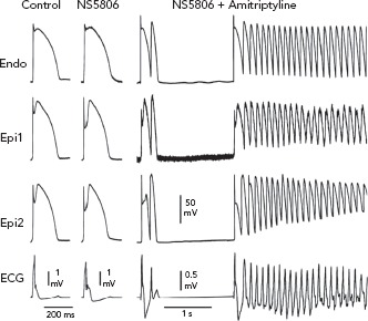 Figure 5: