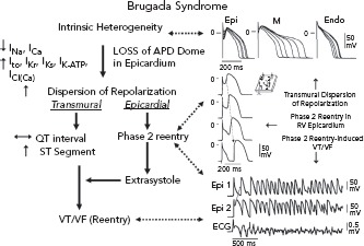 Figure 6: