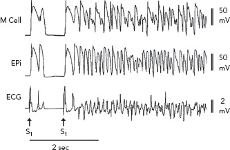 Figure 3: