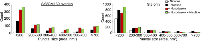 Figure 5—figure supplement 1.