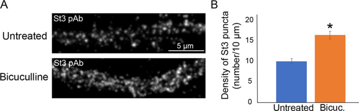 Figure 2—figure supplement 2.