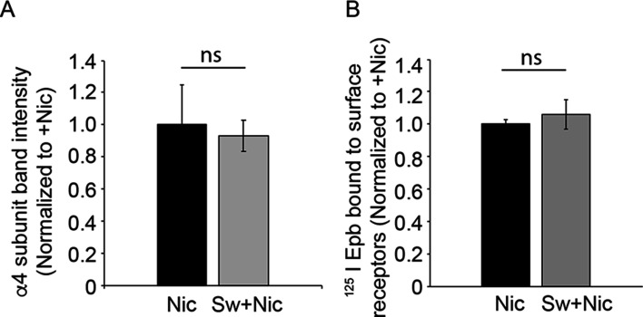 Figure 7—figure supplement 2.