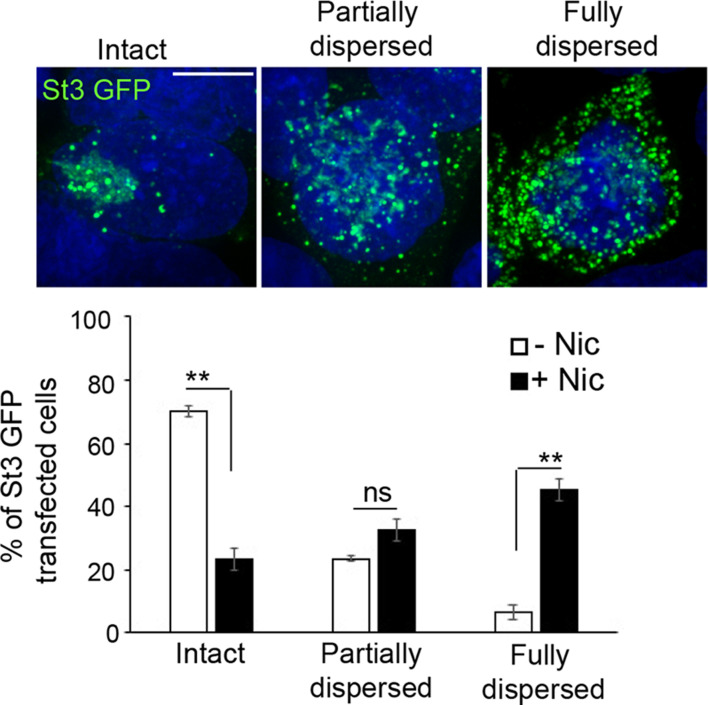 Figure 1—figure supplement 2.