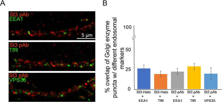 Figure 4—figure supplement 2.