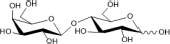 graphic file with name fmicb-12-750635-i003.jpg