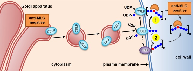 Figure 11.