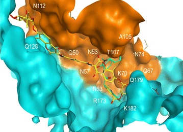 Fig. 2