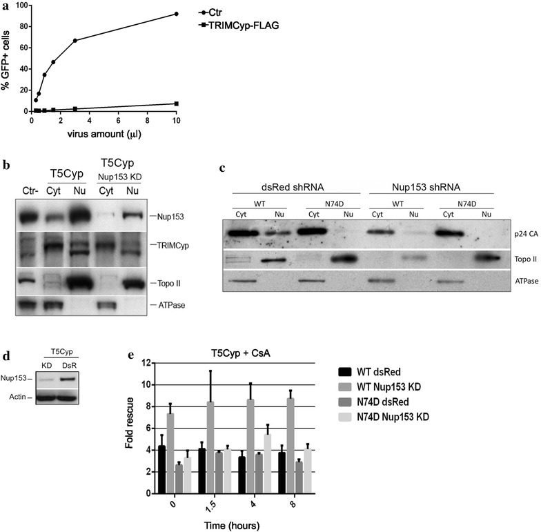 Fig. 6