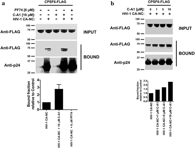 Fig. 7