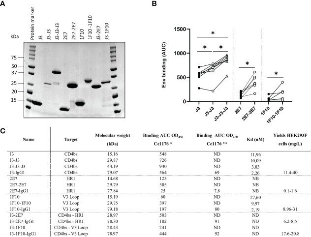 Figure 2