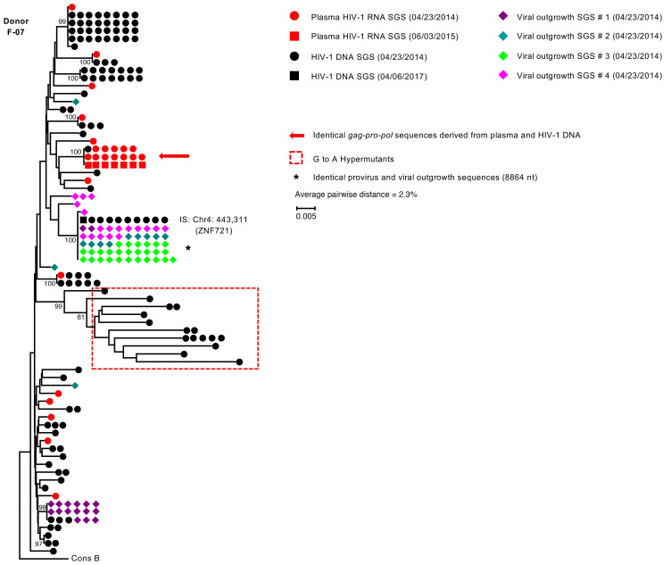 Figure 4