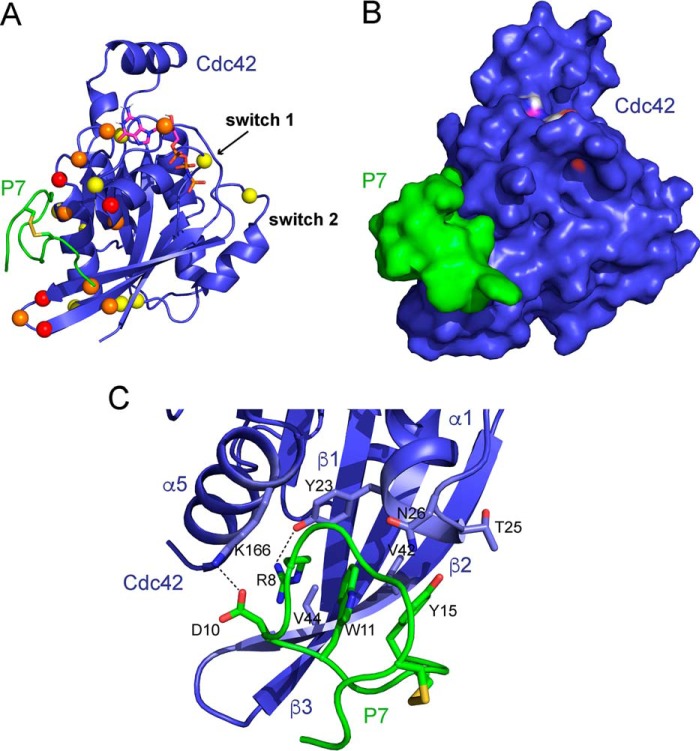 Figure 5.