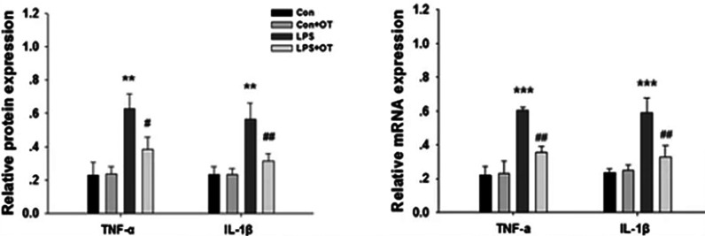 Figure 7