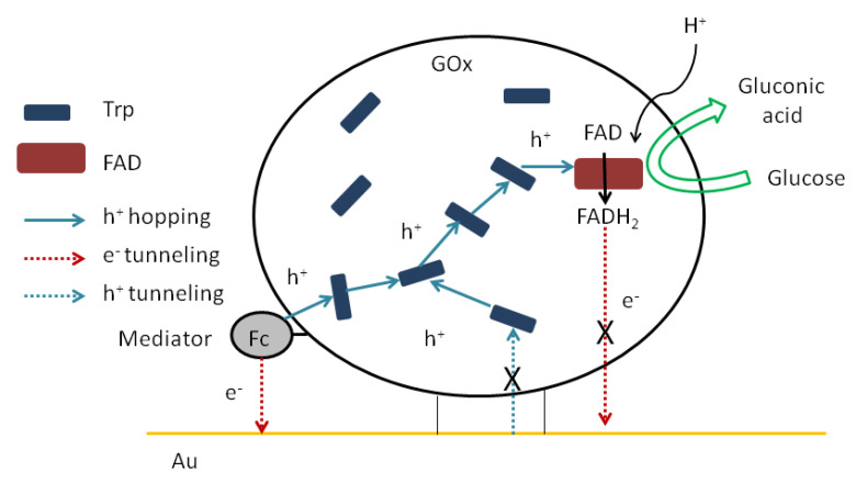 Scheme 1