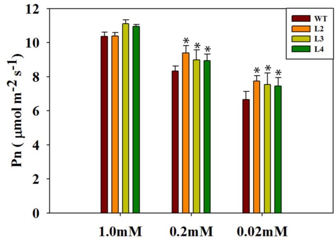 FIGURE 4