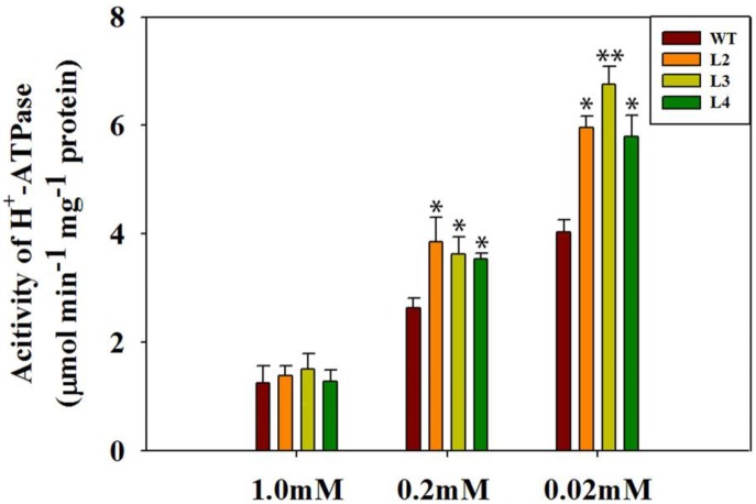 FIGURE 6