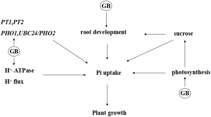 FIGURE 9