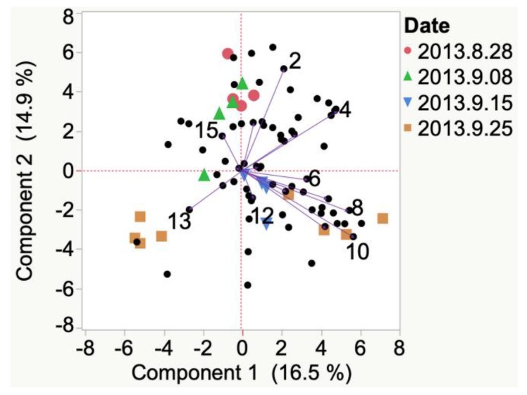 Figure 11