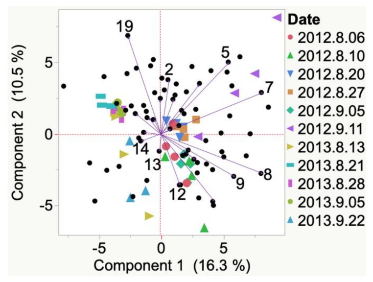 Figure 10