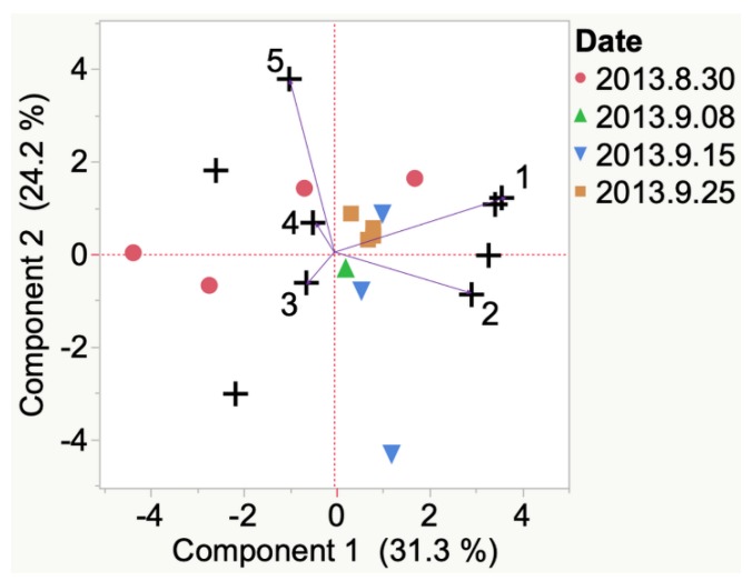 Figure 7