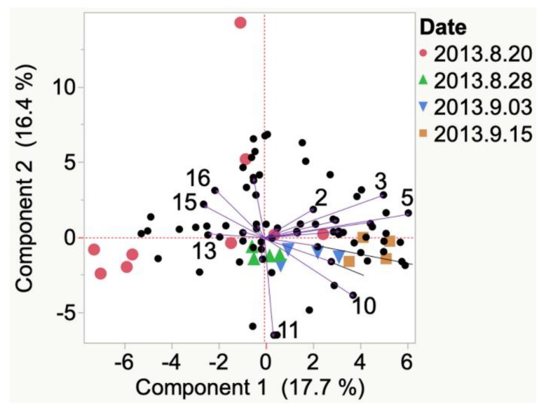 Figure 12