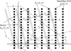 Fig 4