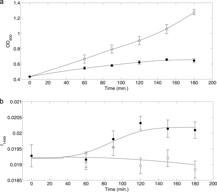 FIG 2