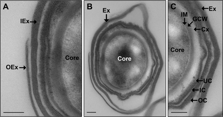 FIG 3 