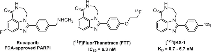 Structures of rucaparib, 18F fluorthanatrace (18F-FTT) and 125I KX-1. Fluoroethyl and iodo moieties were added to rucaparib scaffold to enable radiofluorination and radioiodination. Both radioactive analogs exhibit high binding affinities toward PARP-1. The PET radiotracer, 18F-FTT, was used for the preclinical and clinical imaging studies, while 125I KX-1 (18F-FTT analog) was used for PET tracer evaluation. FDA = Food and Drug Administration, PARPi = poly (adenosine diphosphate–ribose) polymerase inhibitor.