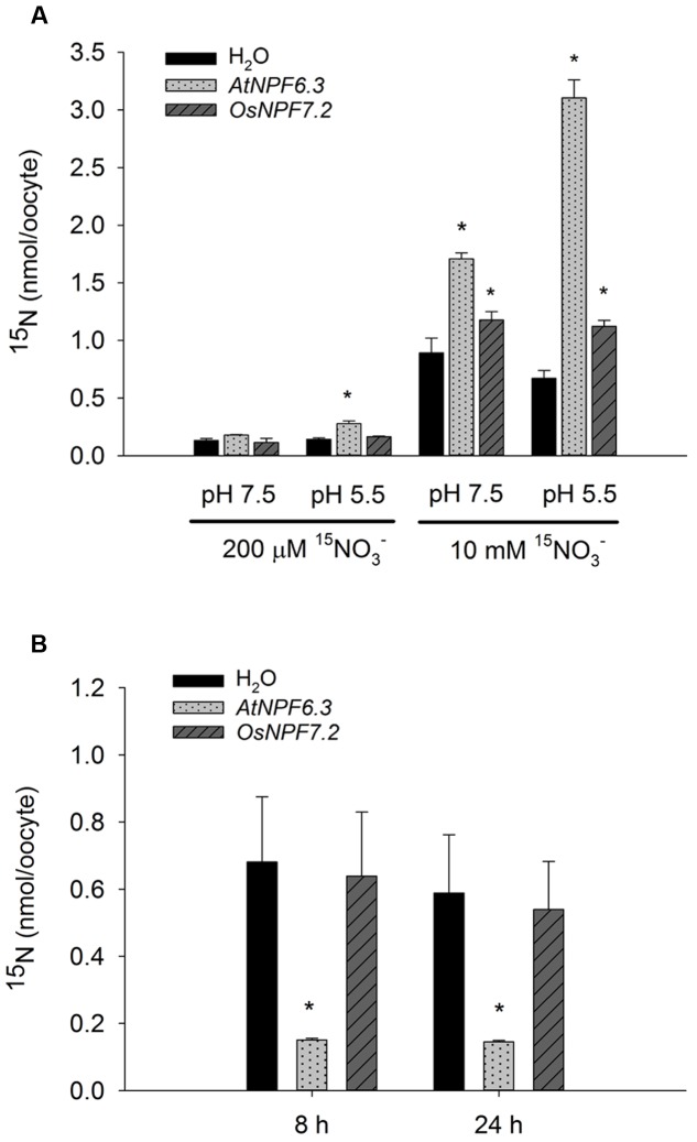 FIGURE 4