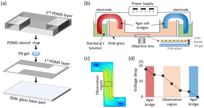 FIGURE 1: