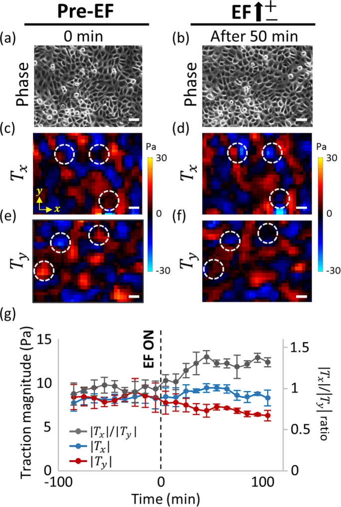 FIGURE 4: