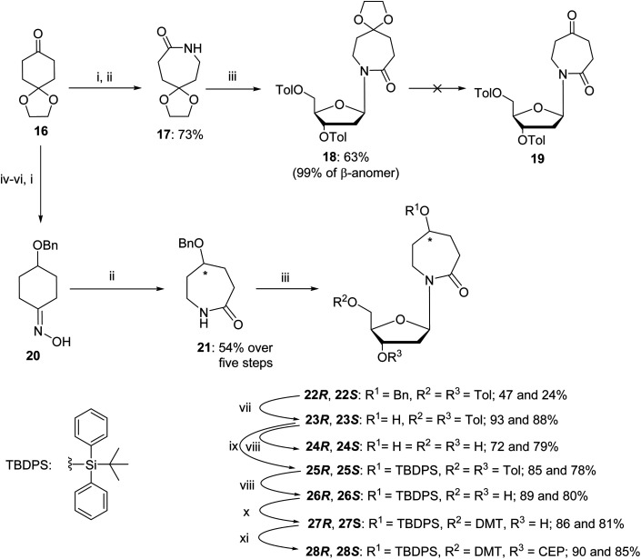 Scheme 3