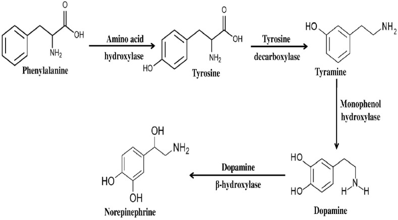 Fig 7