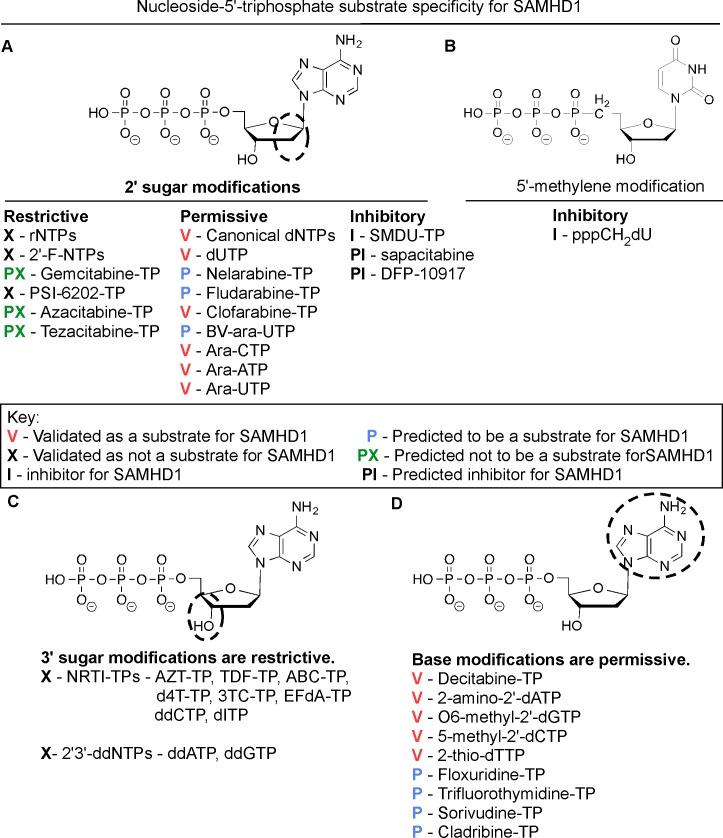 Fig 8