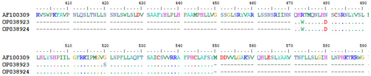 Figure 5