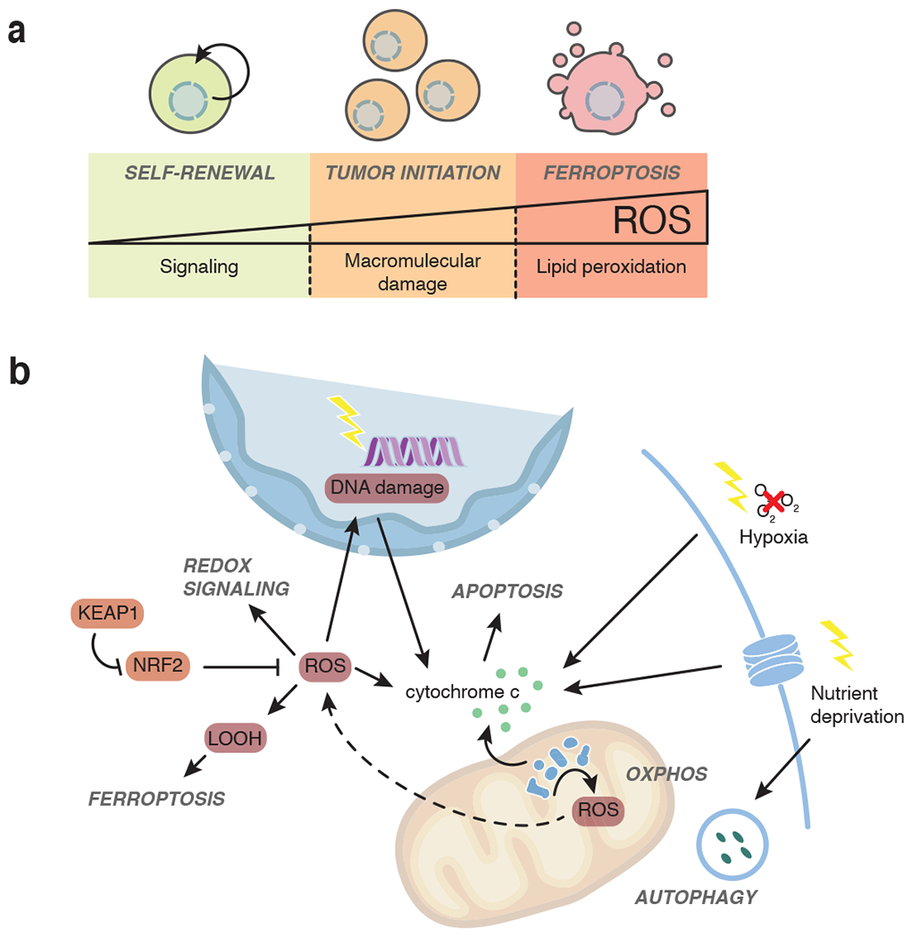 Fig 3.