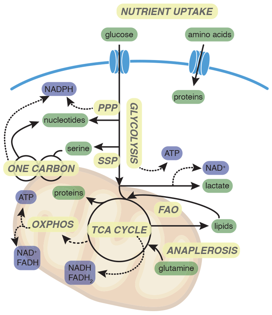 Fig 2.