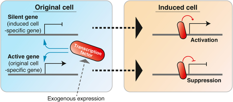 Fig. 3