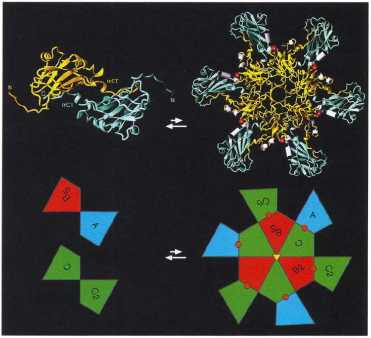 Fig. 10