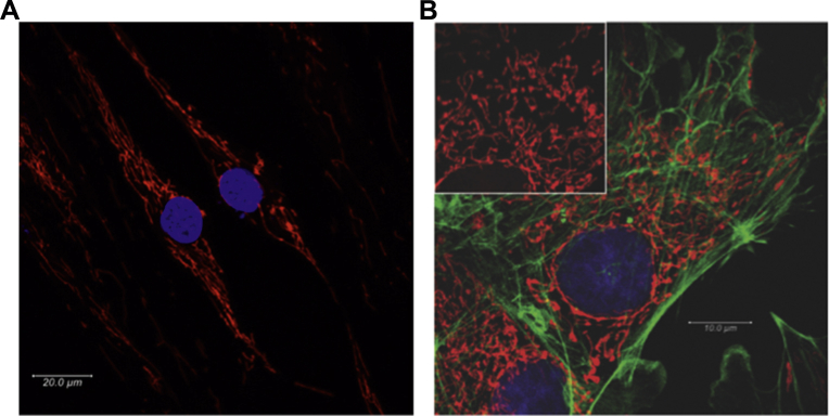 Figure 2