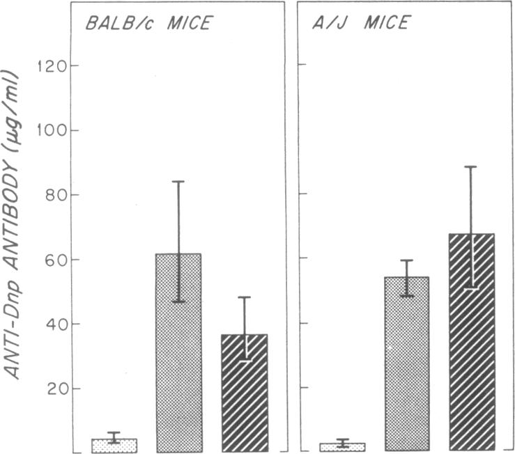 graphic file with name pnas00089-0366-a.jpg