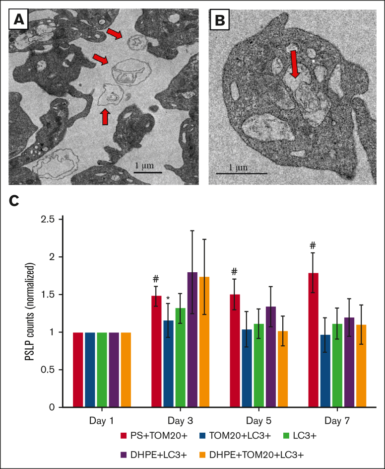 Figure 6.