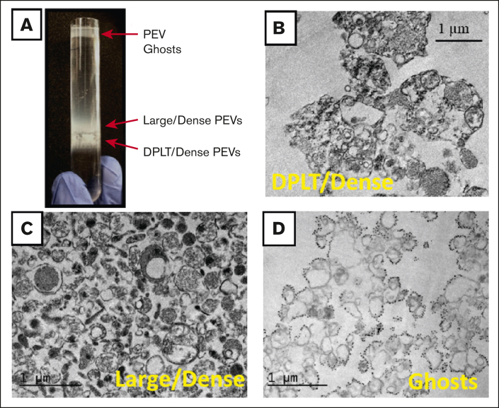 Figure 4.