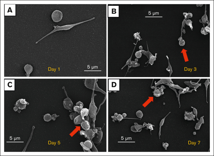 Figure 3.